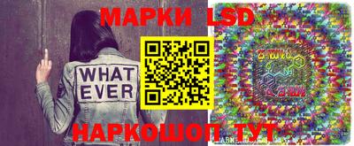 стаф Новодвинск