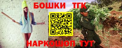 стаф Новодвинск