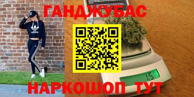 стаф Новодвинск