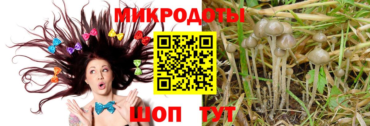Псилоцибиновые грибы MAGIC MUSHROOMS Тосно